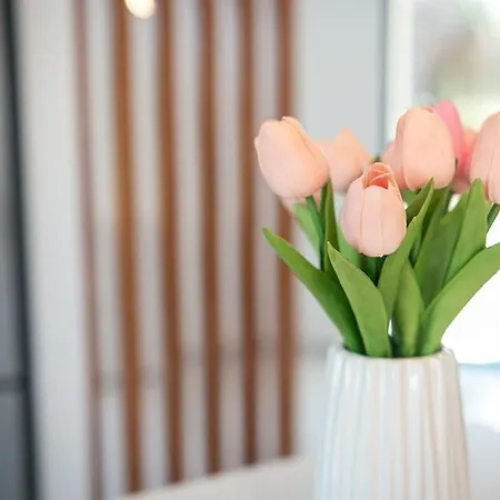 Casa Xanthenia Σπίτι διακοπών *