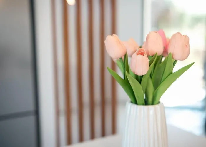 Casa Xanthenia Casa de Férias *